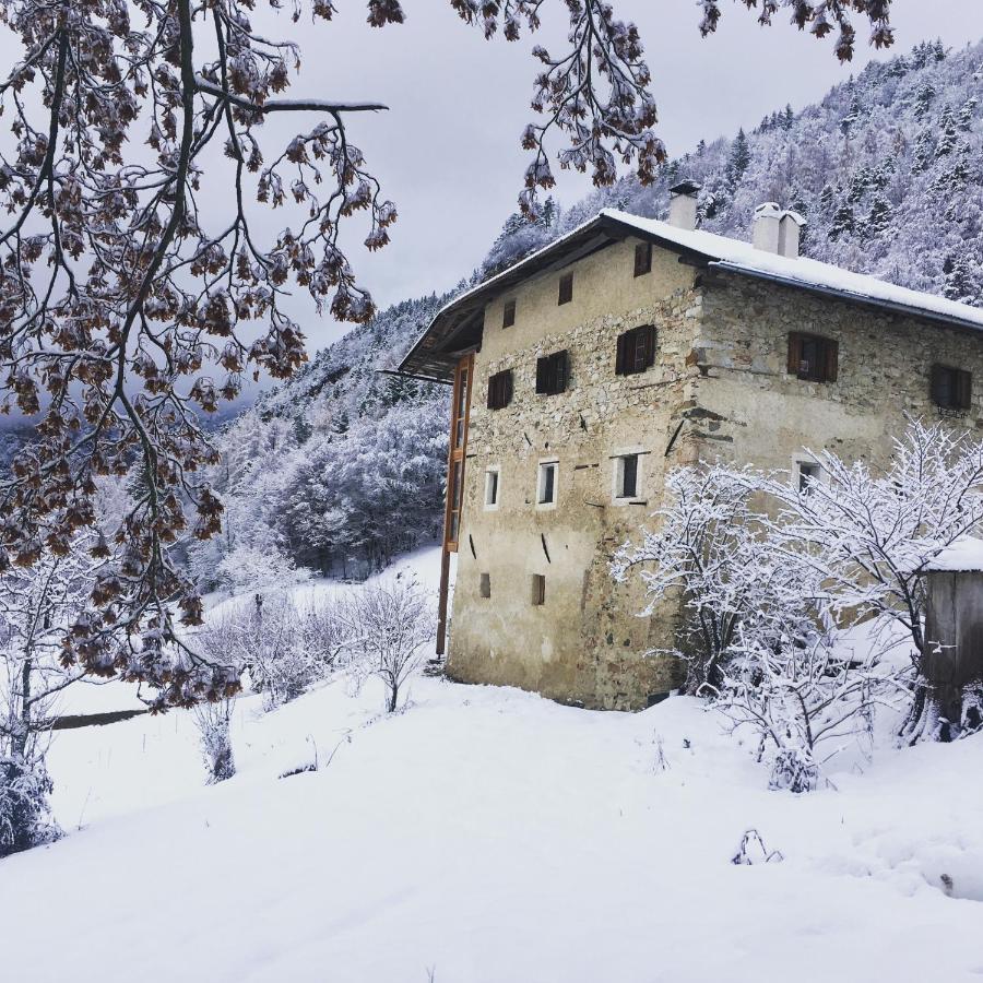 Bauernhof Hof Unternberg Daire Magre all' Adige Dış mekan fotoğraf