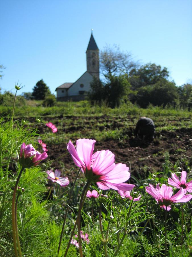 Bauernhof Hof Unternberg Daire Magre all' Adige Dış mekan fotoğraf