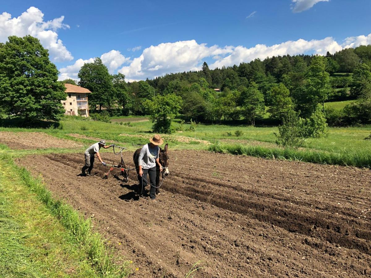Bauernhof Hof Unternberg Daire Magre all' Adige Dış mekan fotoğraf
